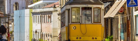 ESC vacancy at CML, Social Rights Dept., Lisbon Portugal