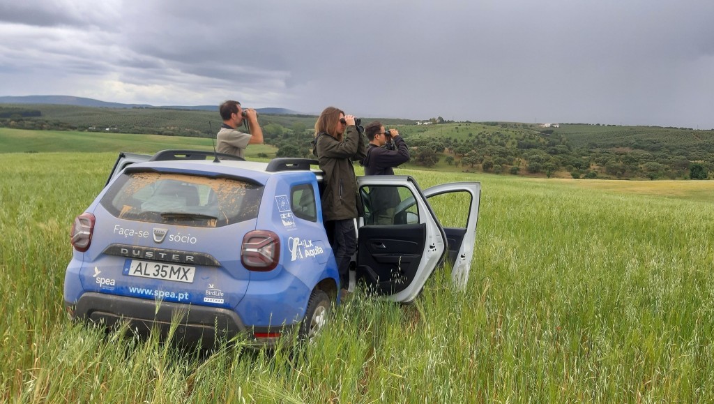 Trabalho_de_campo_SPEA